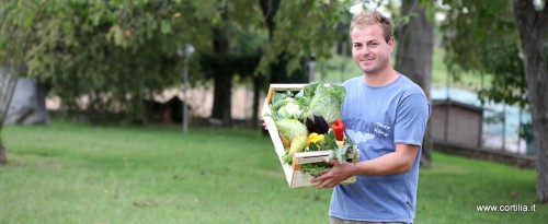 Perantoni_20120906_C030-500x205