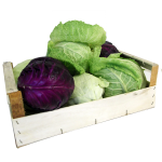 cassetta-verdura-da-5,50euro