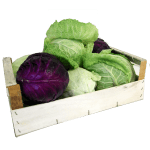 cassetta-verdura-da-5,50euro