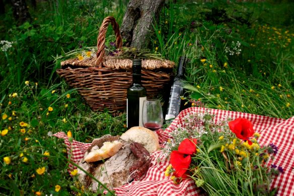 pic-nic-1