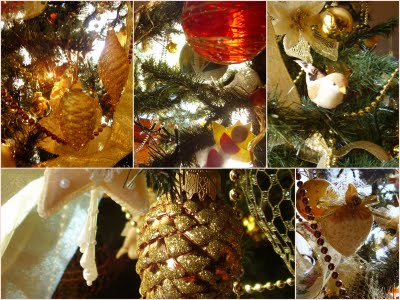 Materiale per il Blog