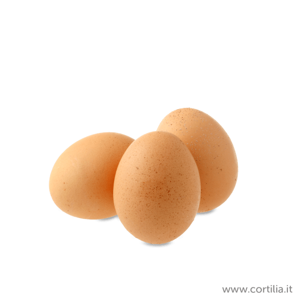 Cortilia.it_Uova