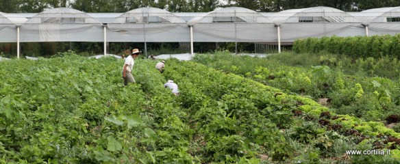 Cortilia.it_SantaMarta_010