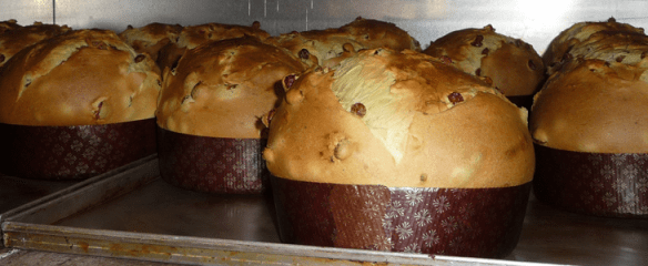 Evvivo_cottura_730x300