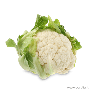 cavolfiore