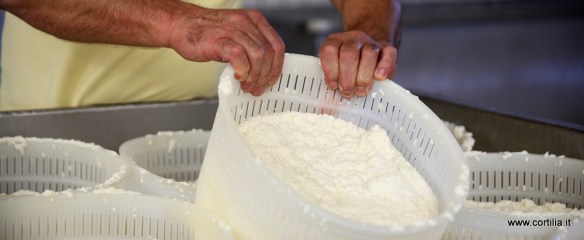 Franceschini_20120907_C001