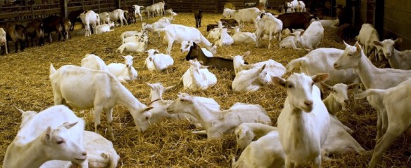 IMG_CP_2014 05_04 (2)