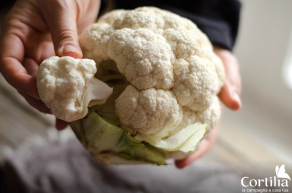 spaghetti cavolo rosso - step 1