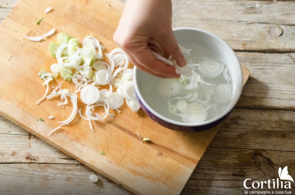 insalata cicorino e cipollotto - step 1