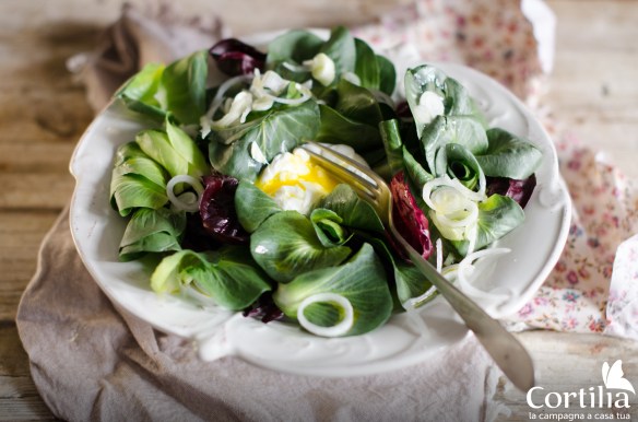 insalata cicorino e cipollotto