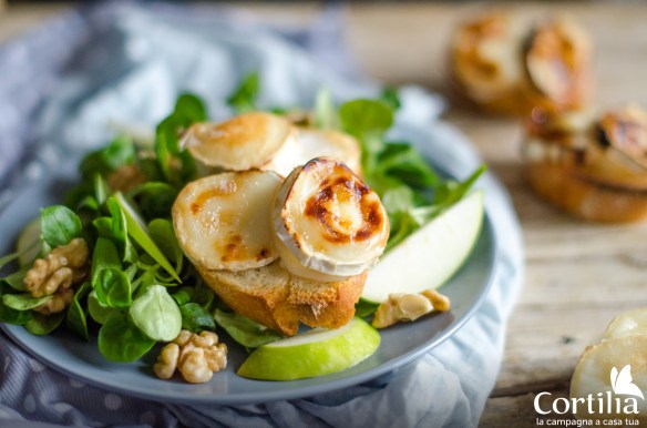 insalata fine inverno