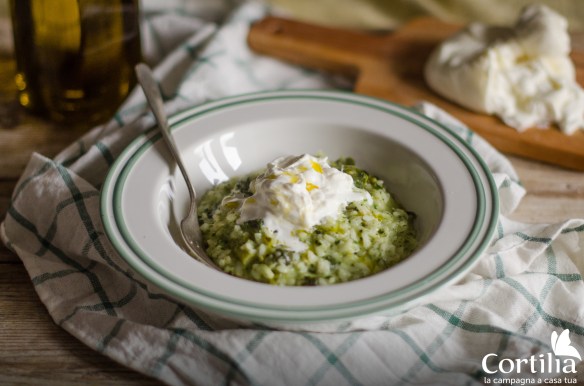 risotto cime di rapa e burrata