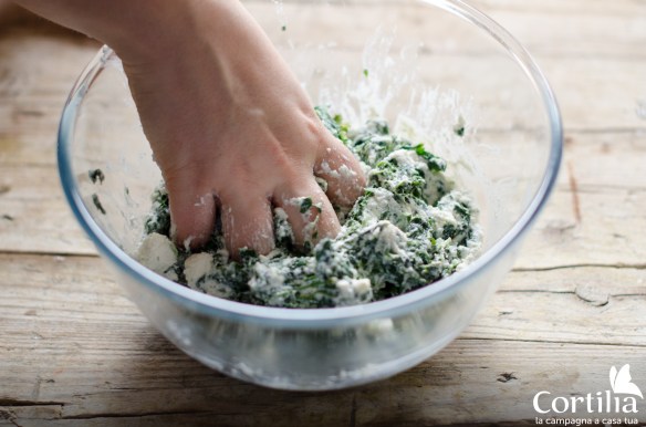 rotolo gnocchi - step 3