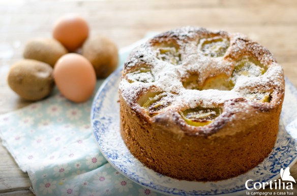 torta di kiwi 2
