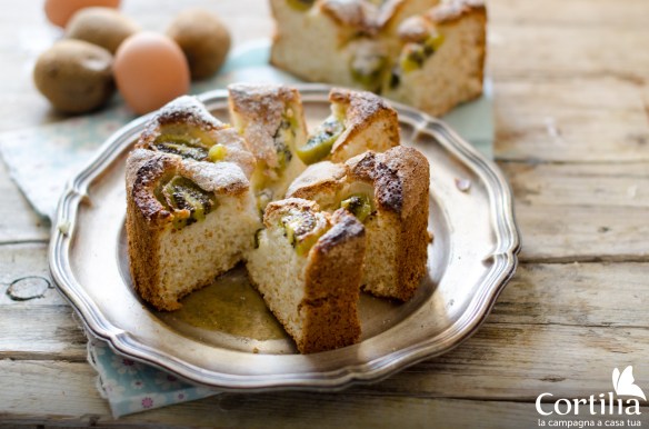 torta di kiwi 3