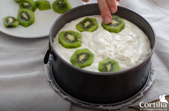 tortaKiwi1