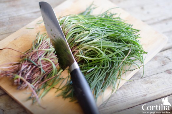 Carbonara Agretti R2