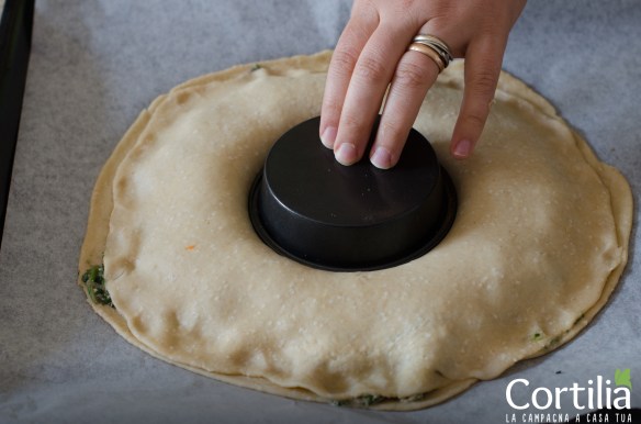 girasole di borragine 1R