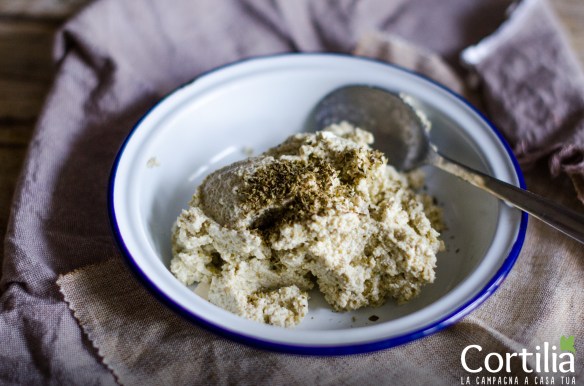 Empanadas di tofu 1R