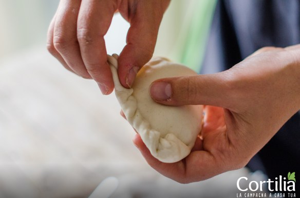 Empanadas di tofu 2R