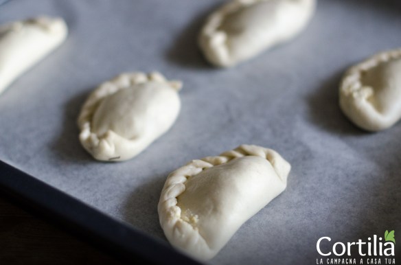 Empanadas di tofu 3R