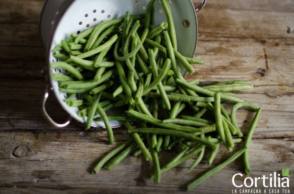 Fagiolini 1R
