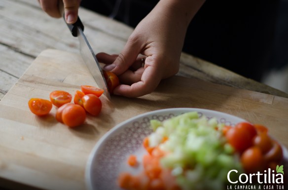 Pollo allacacciatora destrutrato 1R