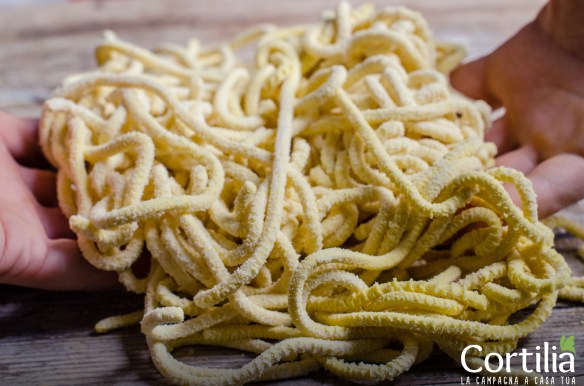 Spaghettoni allo zafferao e tre pomodori-2R