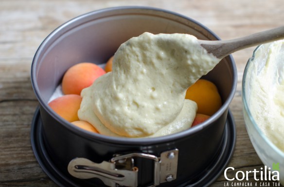 torta di albicocche-2R