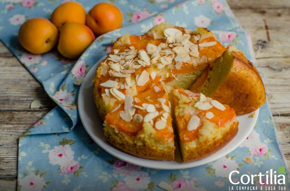 torta di albicocche3R