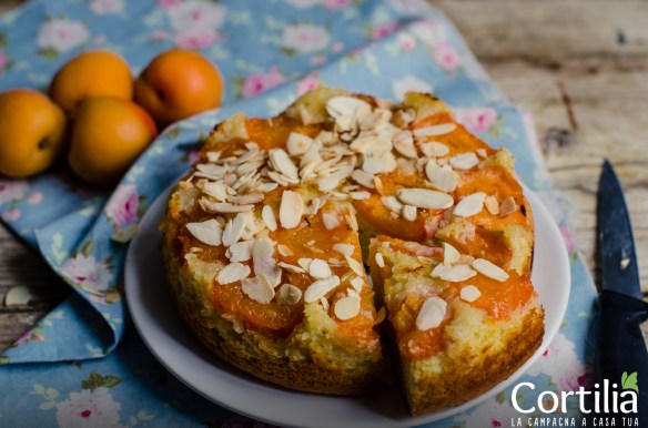 torta di albicoccheR