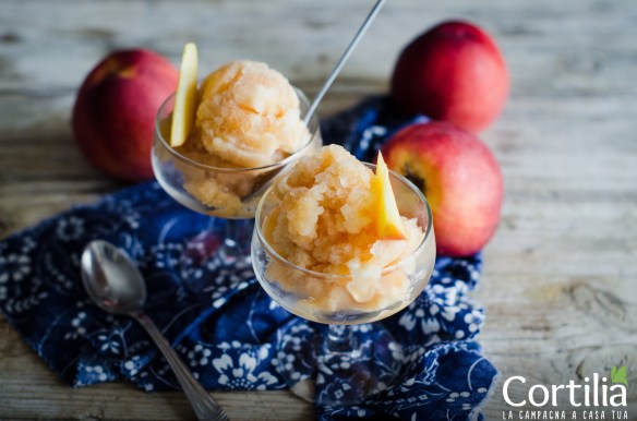 granita alle pesche 1R