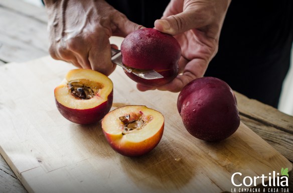 granita alle pesche 2R