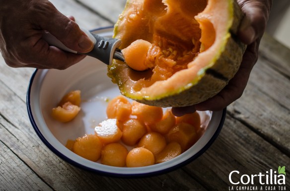 insalata di pollo e melone1R