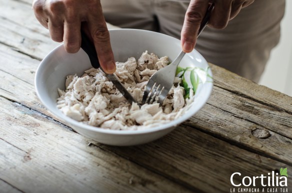 insalata di pollo e melone2R