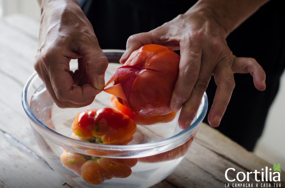 pappa al non solo pomodoro 2R