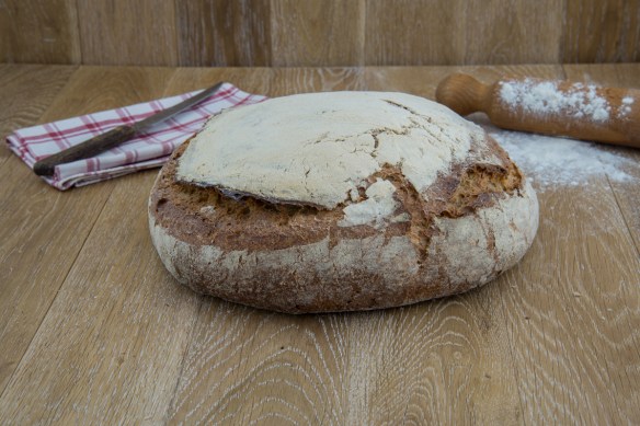 Longoni-SbrisolonaR (11)