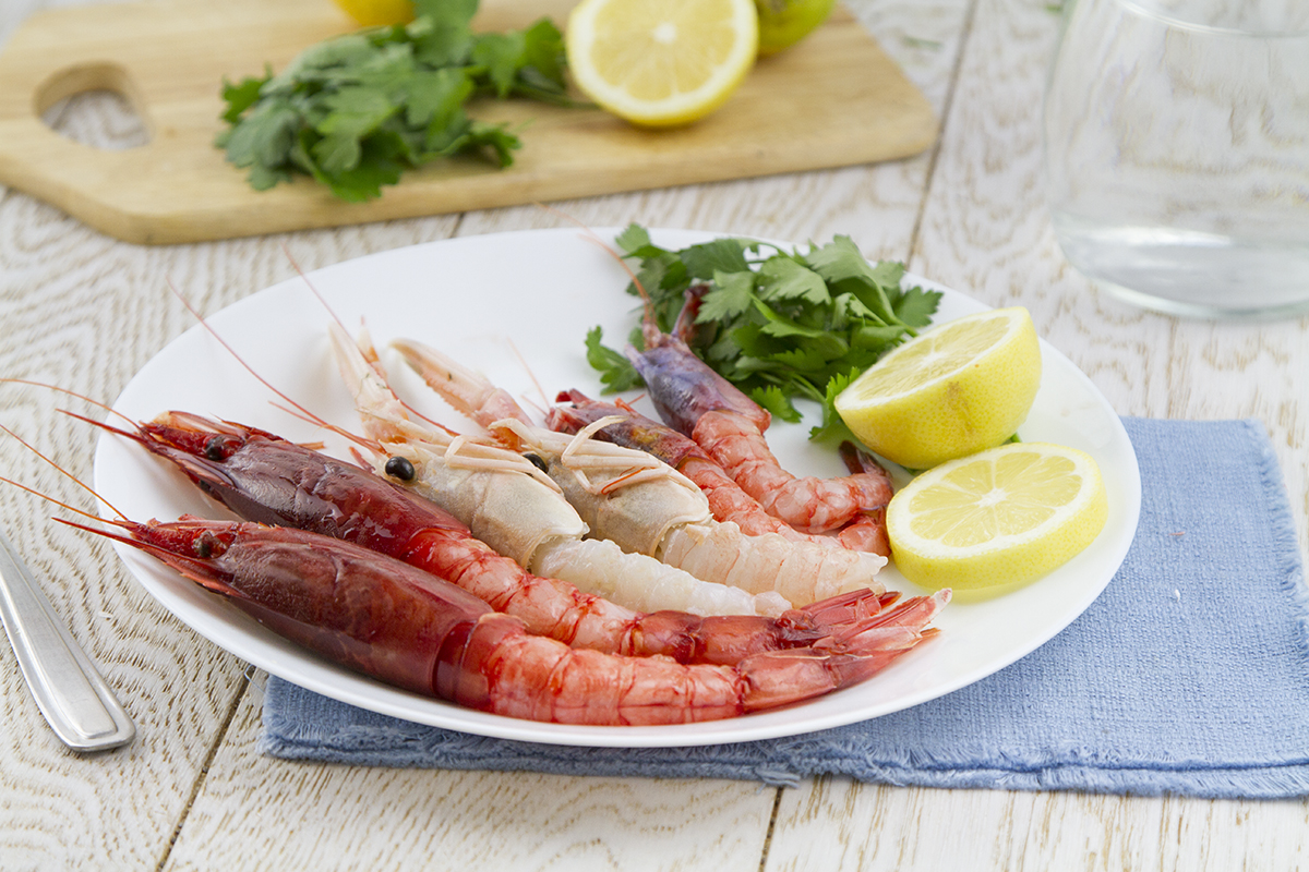 AmoPEsce_TrisGamberiR