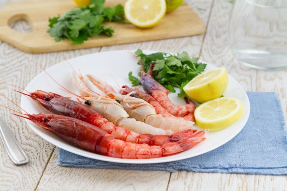 AmoPEsce_TrisGamberiR