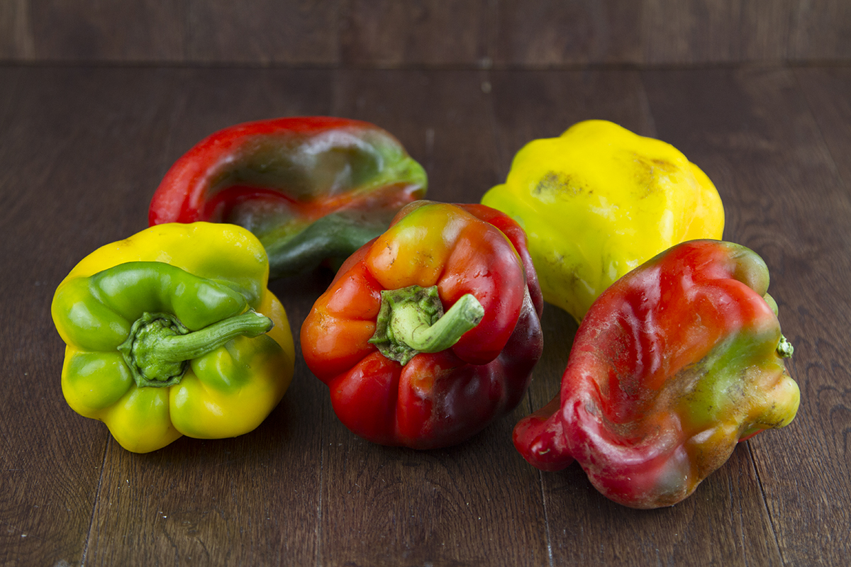 BruttiMaBuoni_PeperoniR